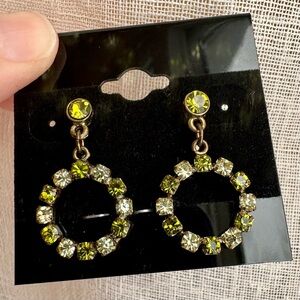 Elegant Austrian Crystal Earrings
